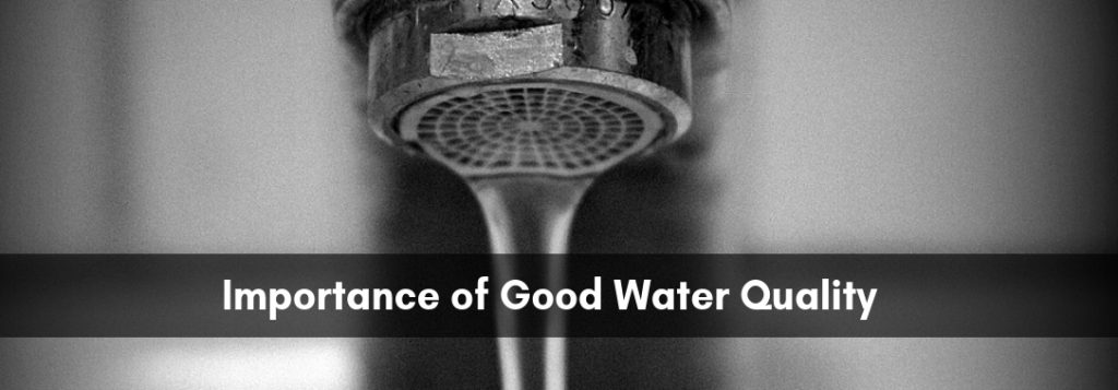 The Importance of Good Water Quality