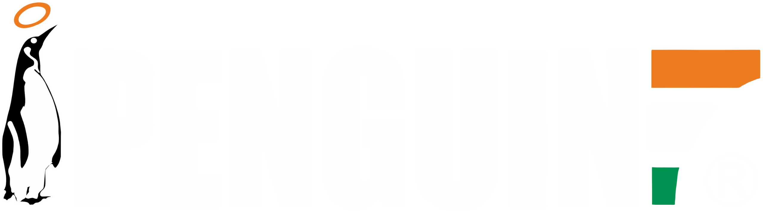 PT logo (4) (1)